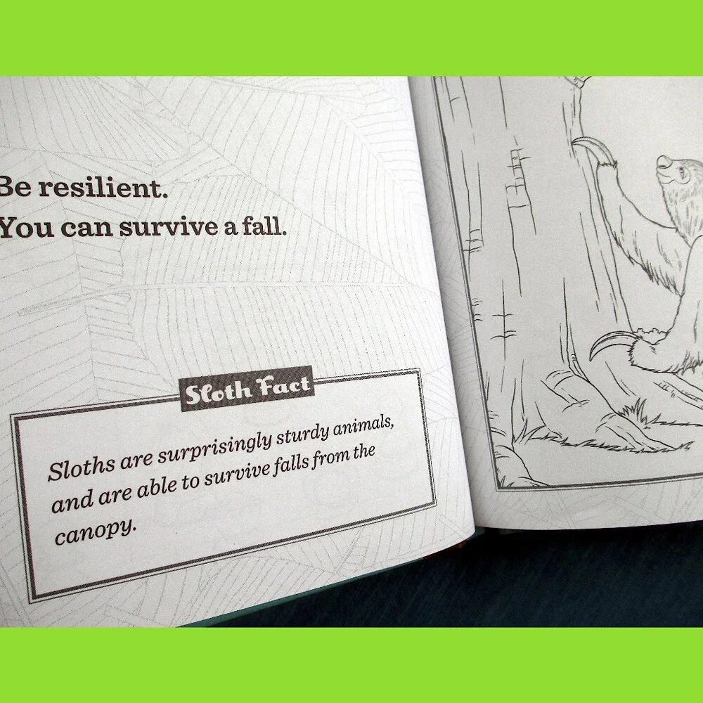 Book: Life Lessons from a Sloth, by Heneghan, Mills, & Sturgeon - Picture 7 of 13